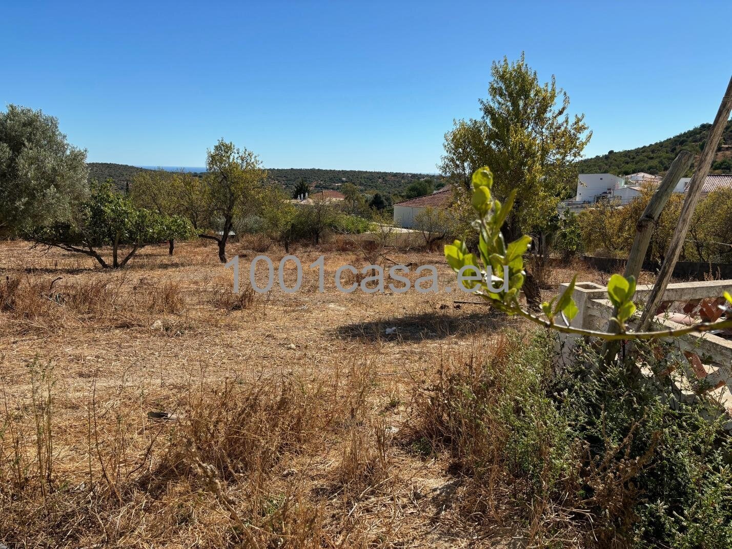Provisionsfrei - Landhaus-Idylle mit Meerblick: Ihr neues Projekt nahe Loulé