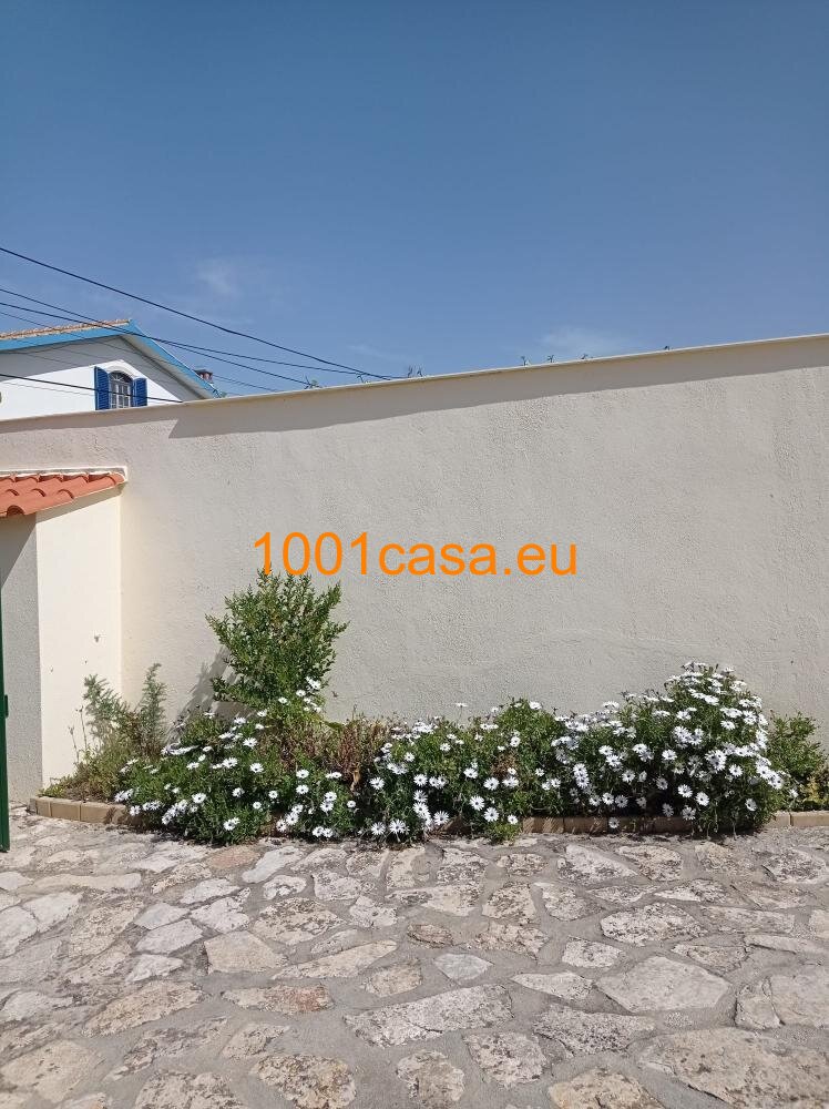 Exklusive Ruhe-Oase: Moderne Villa mit Pool nahe São Martinho do Porto