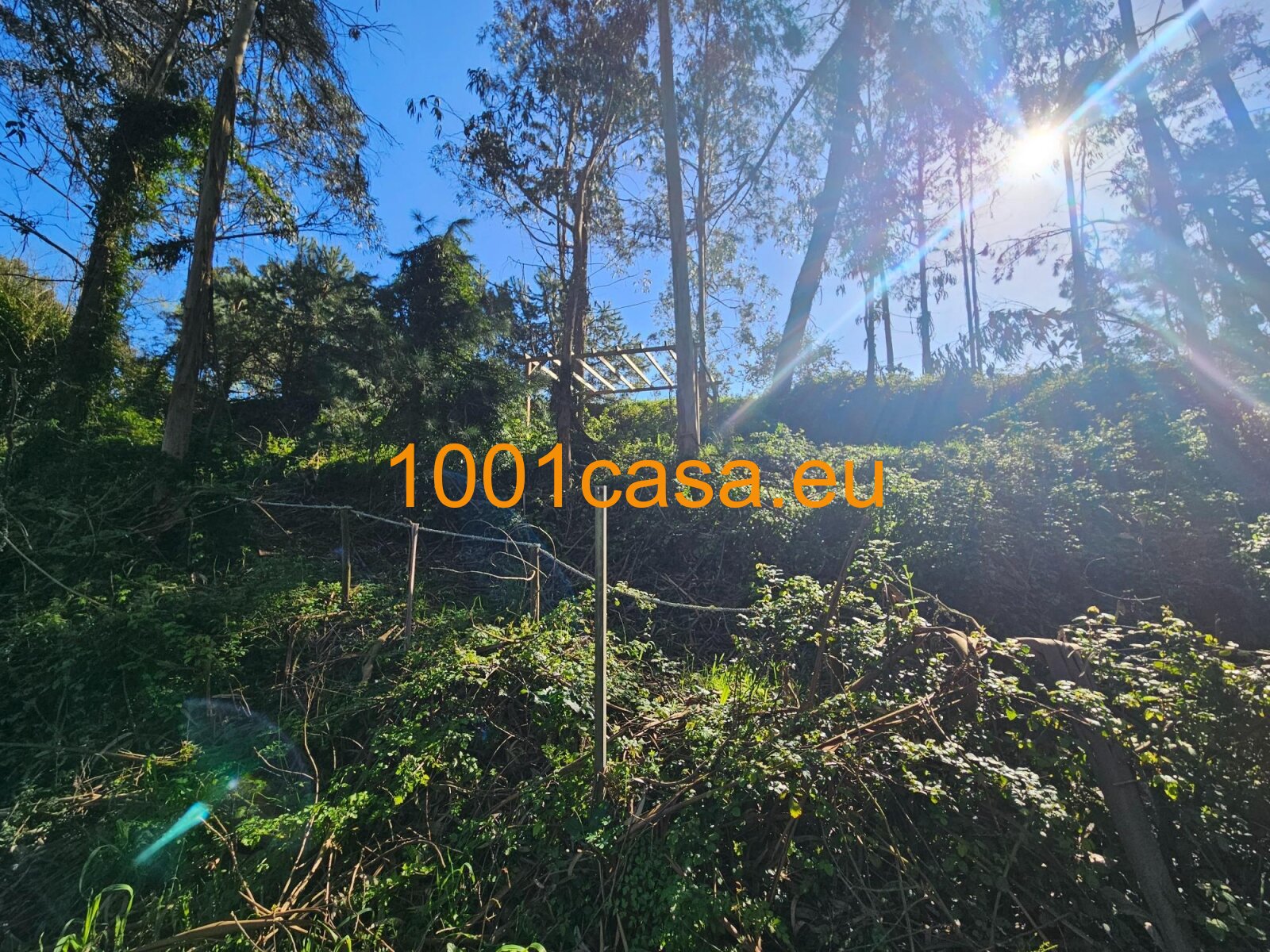 Top Baugrundstück mit Genehmigung ca. 280 m² Wohntraum in Natur-Idylle