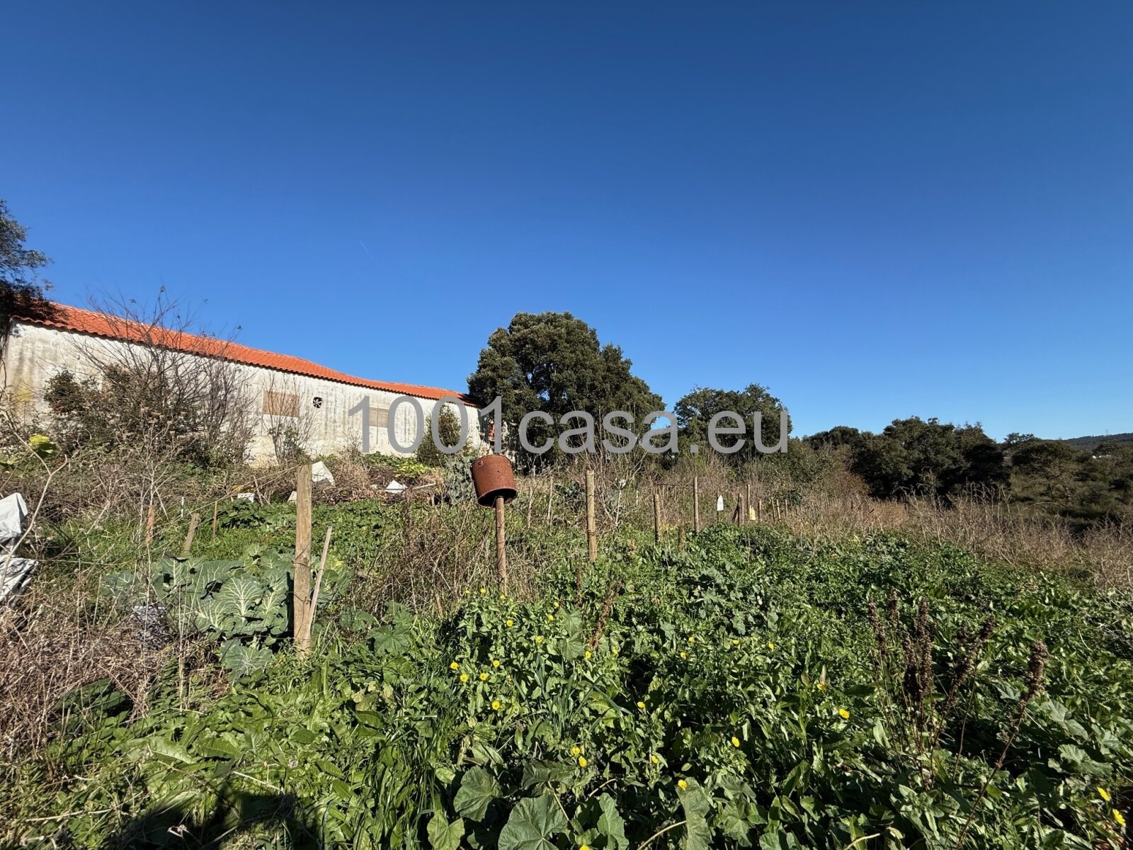 Traum-Anwesen mit XXL-Potenzial: Wohnen, Werkstatt, Arbeiten & Ferienhaus Rendite Silberküste 