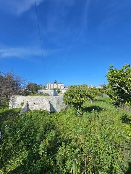 Bias do Sul: Algarve Juwel mit Logenplatz - Renovierungsobjekt direkt an der Ria Formosa 