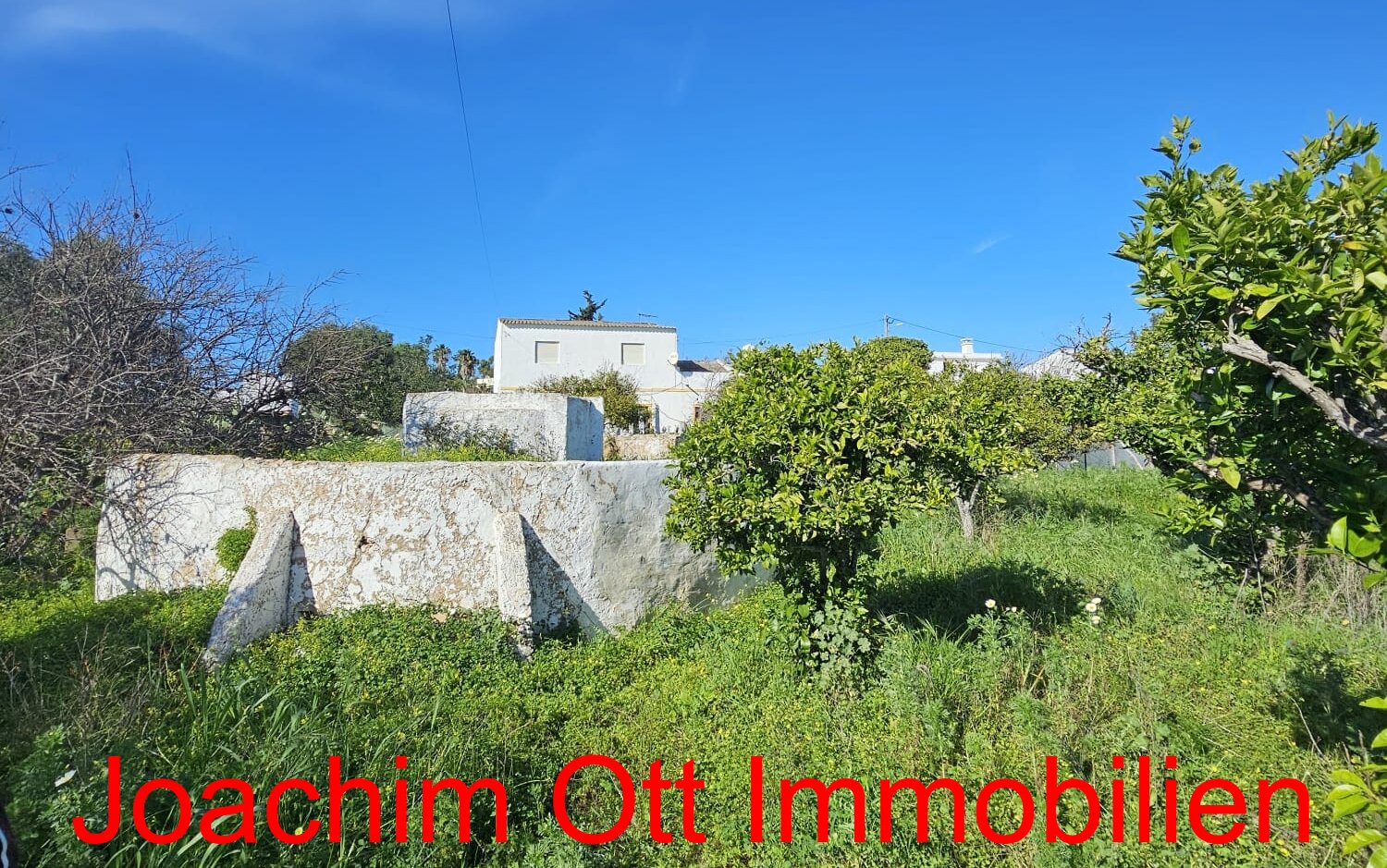 Landhaus direkt an der Ria Formosa zu verkaufen