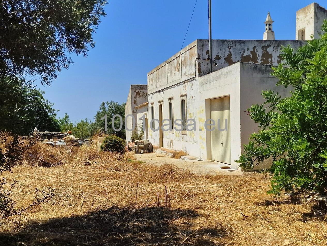 Algarve provisionsfrei grossartige alte Quinta/Finca bei Loule mit Meerblick