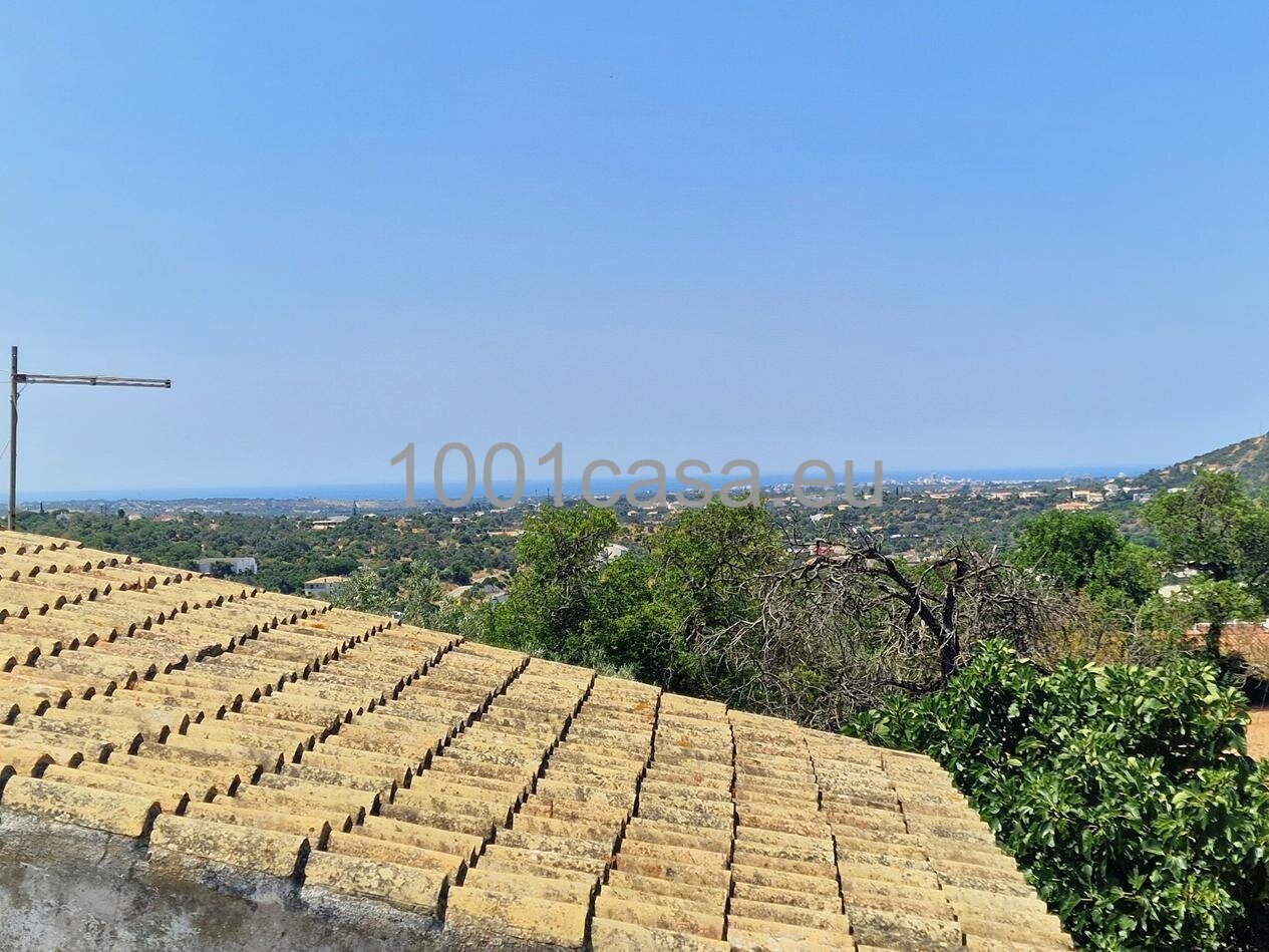 Algarve provisionsfrei grossartige alte Quinta/Finca bei Loule mit Meerblick