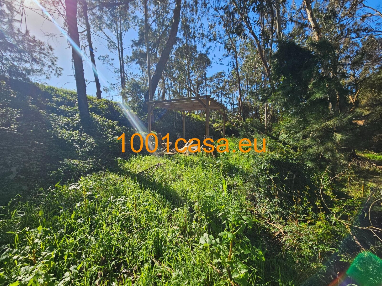 Top Baugrundstück mit Genehmigung ca. 280 m² Wohntraum in Natur-Idylle