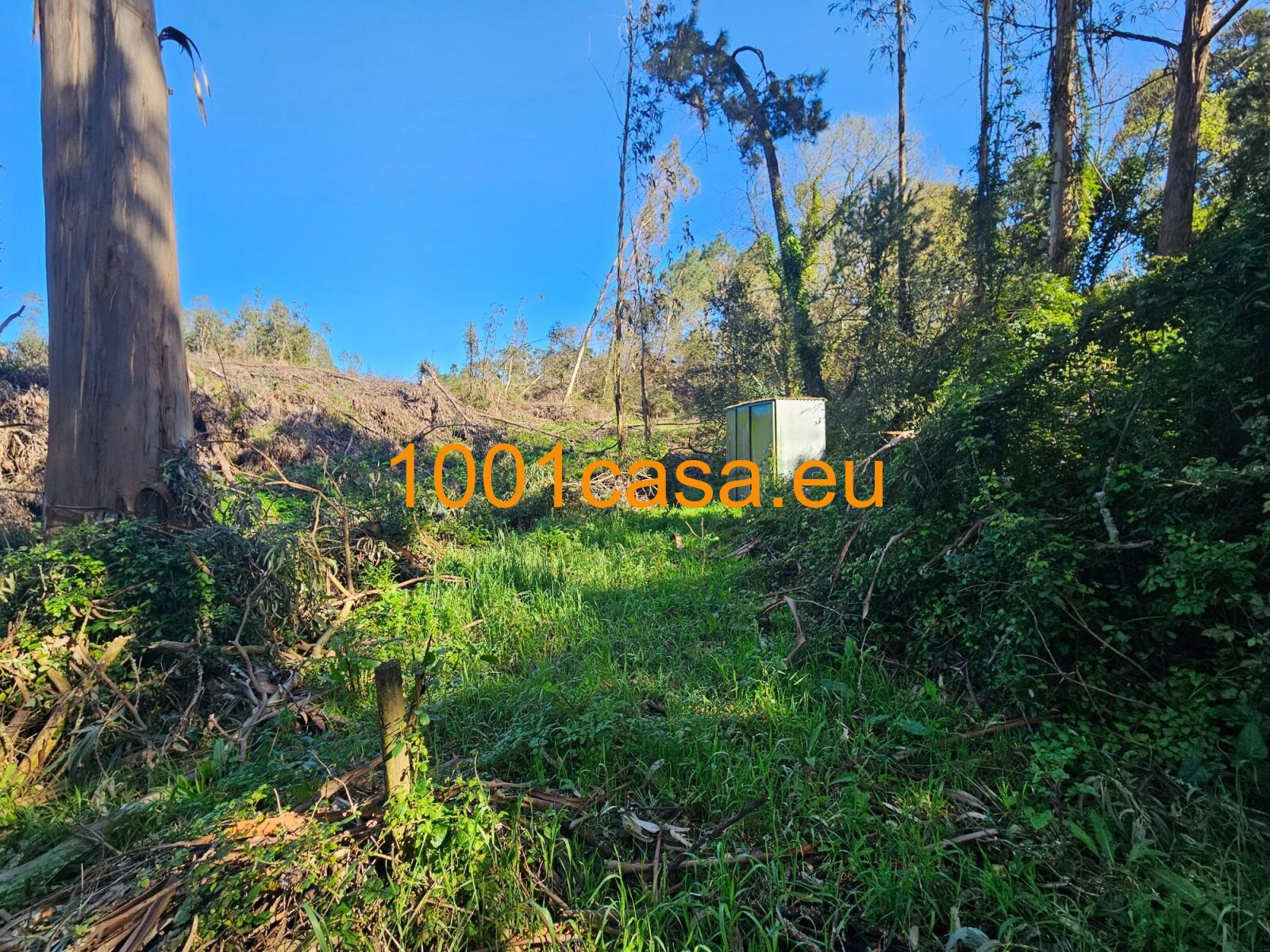 Top Baugrundstück mit Genehmigung ca. 280 m² Wohntraum in Natur-Idylle