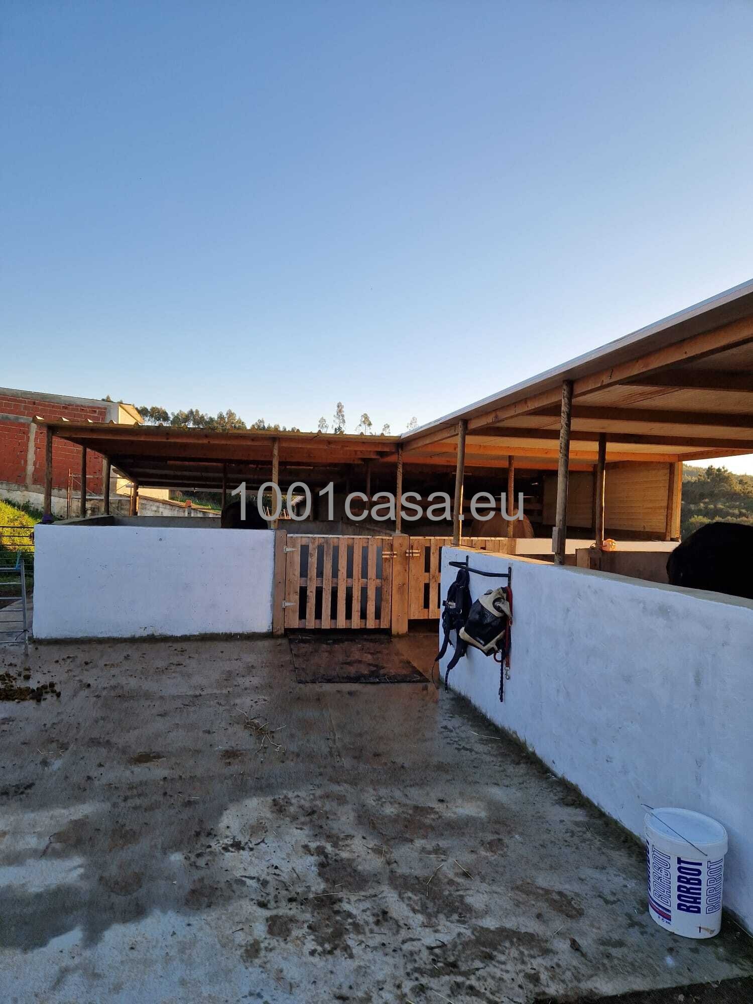 Reitanwesen zu verkaufen: Villa mit 5 Schlafzimmer Silberküste, Portugal