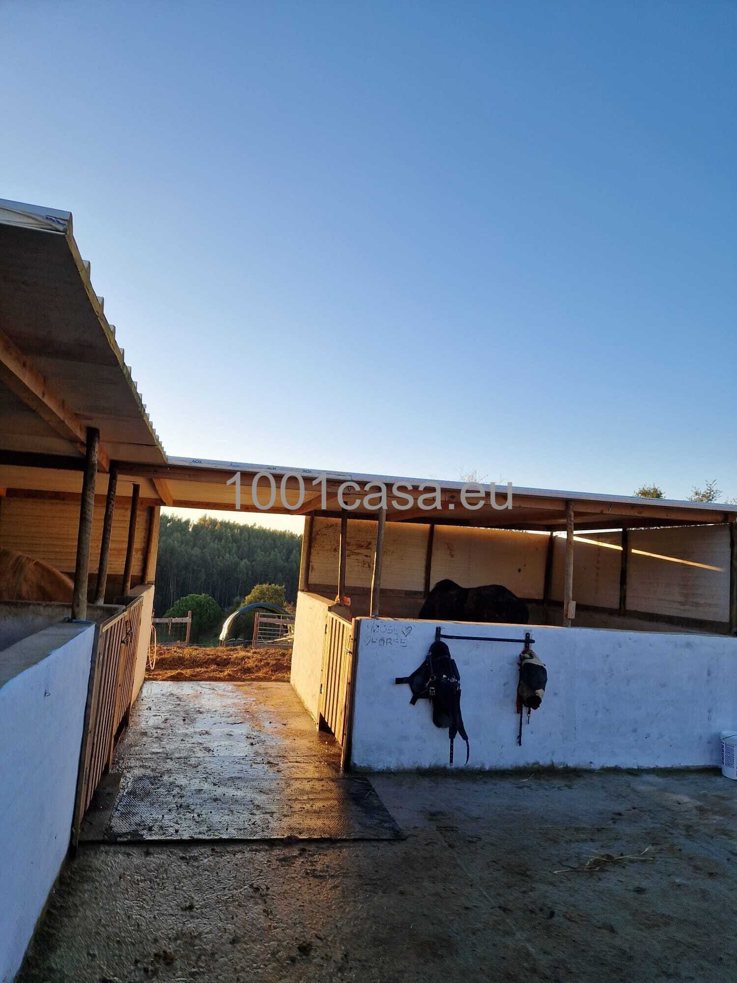 Reitanwesen zu verkaufen: Villa mit 5 Schlafzimmer Silberküste, Portugal