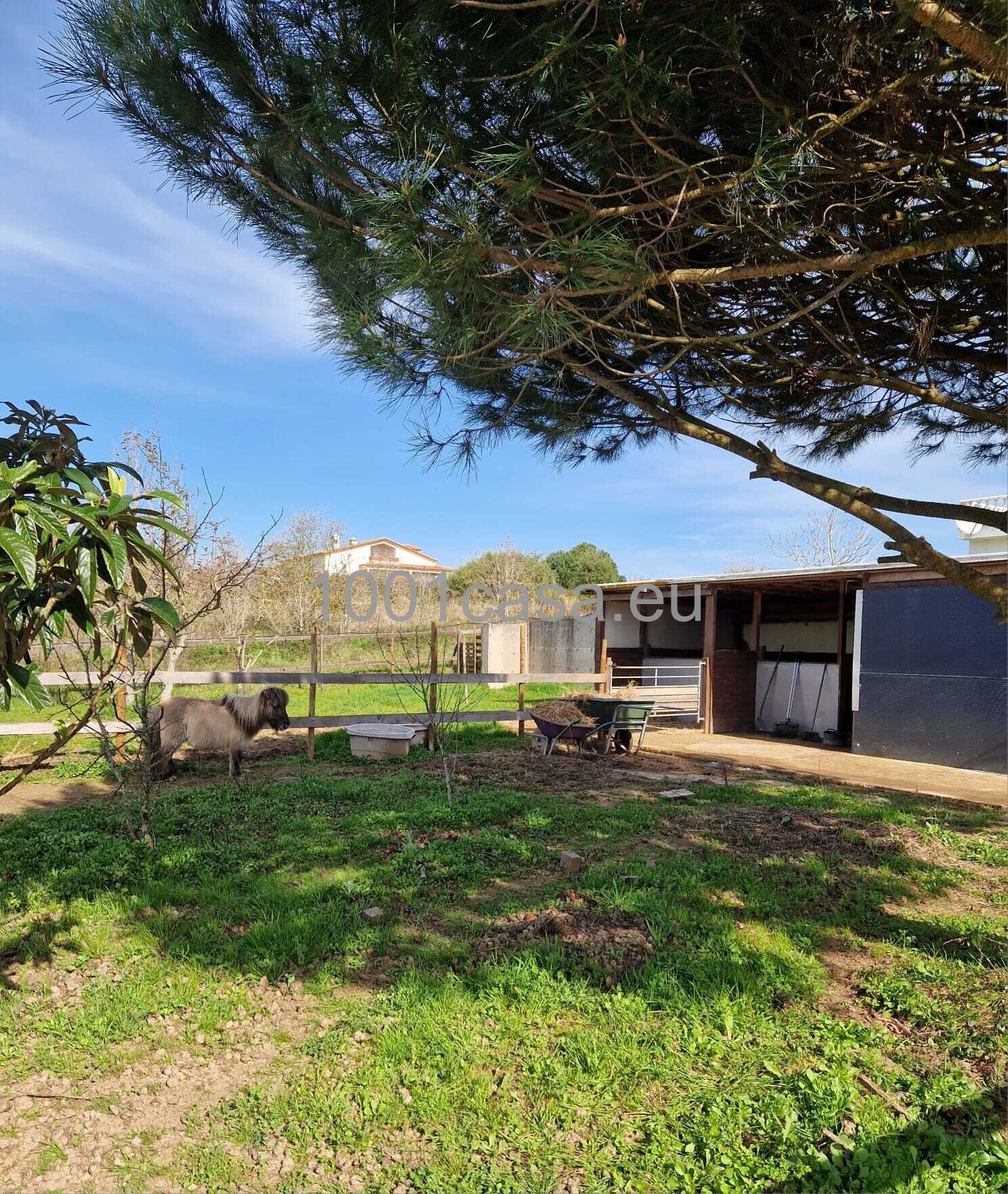 Reitanwesen zu verkaufen: Villa mit 5 Schlafzimmer Silberküste, Portugal