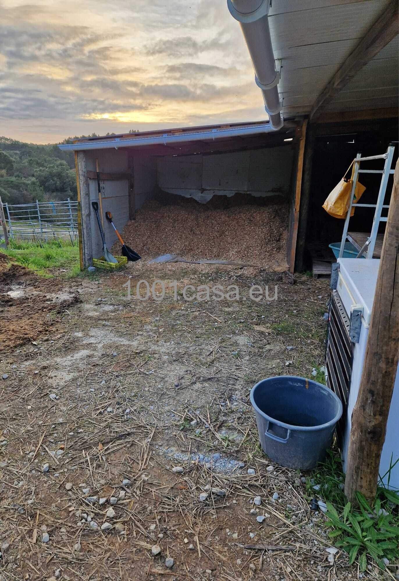 Reitanwesen zu verkaufen: Villa mit 5 Schlafzimmer Silberküste, Portugal
