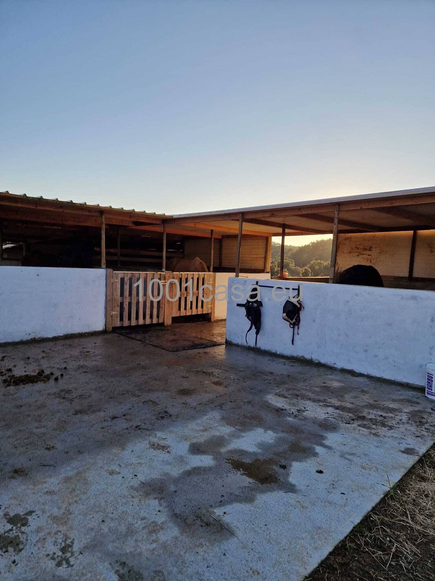 Reitanwesen zu verkaufen: Villa mit 5 Schlafzimmer Silberküste, Portugal