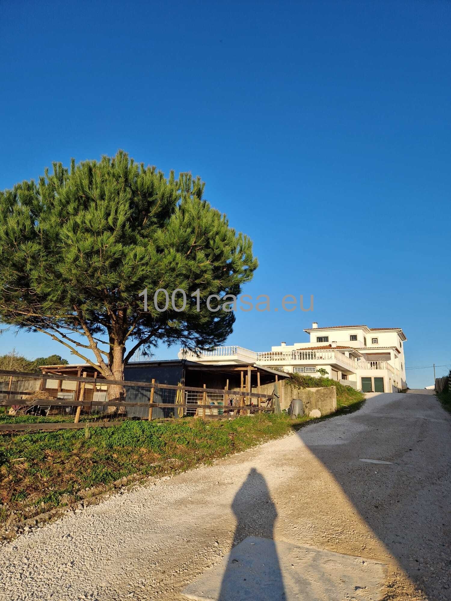 Reitanwesen zu verkaufen: Villa mit 5 Schlafzimmer Silberküste, Portugal