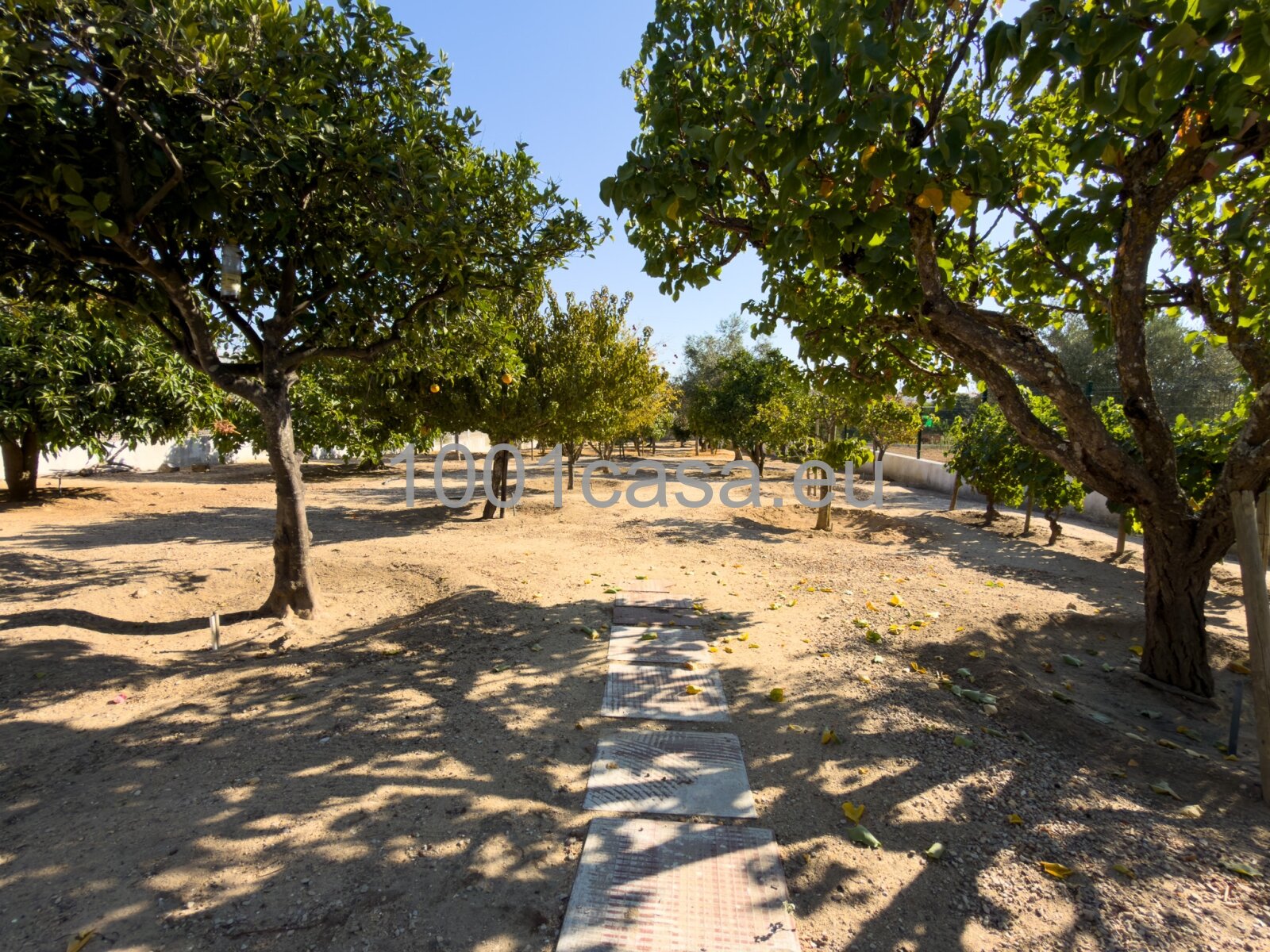 ALGARVE – TRAUMHAUS-ALARM: Meerblick & Insel-Panorama!