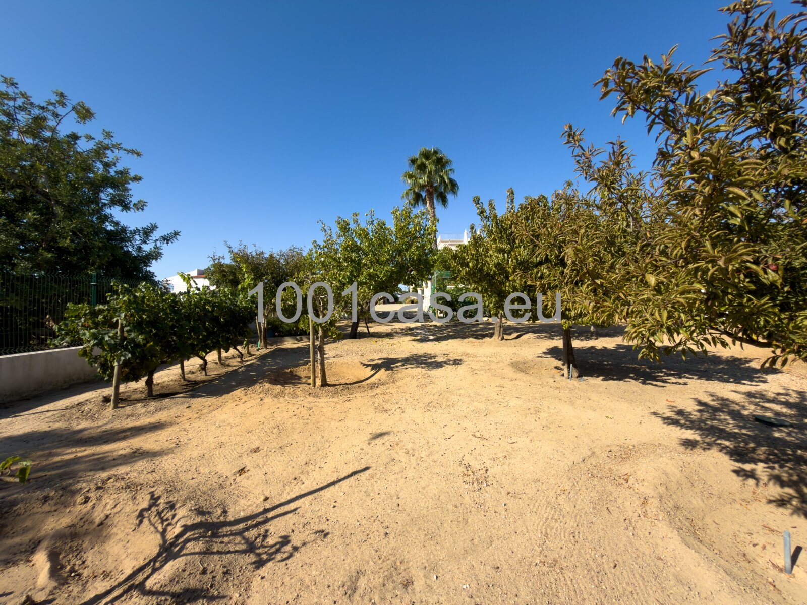 ALGARVE – TRAUMHAUS-ALARM: Meerblick & Insel-Panorama!
