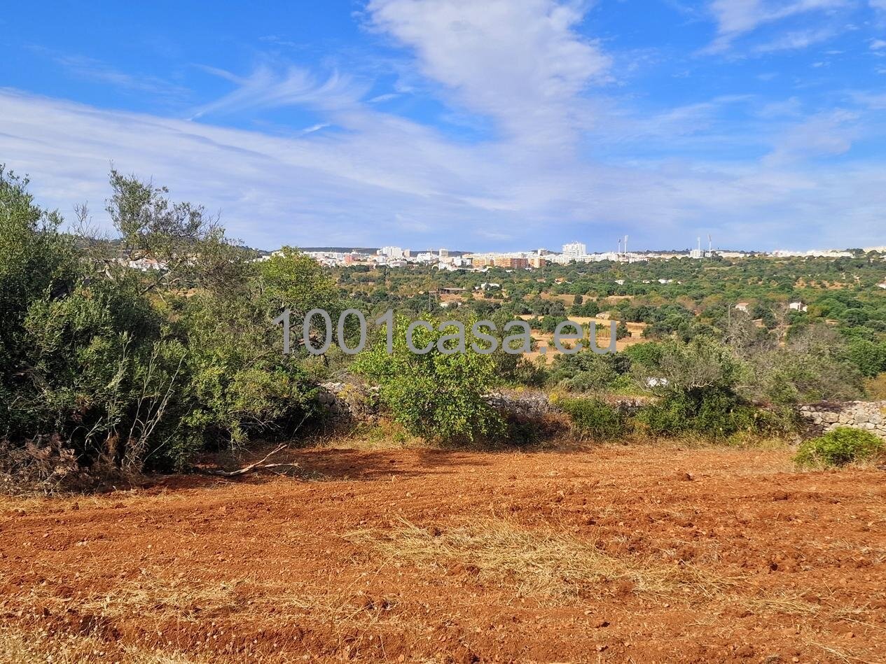 Algarve provisionsfrei grossartige alte Quinta/Finca bei Loule mit Meerblick