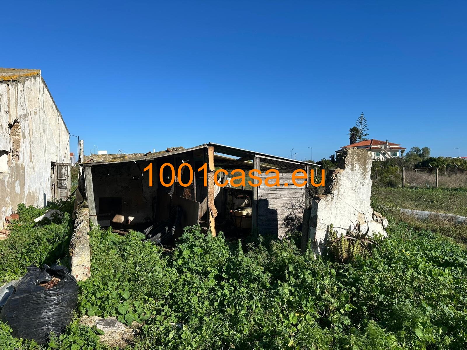 Algarve Küstentraum - Ihr Haus Projekt zwischen Zitrusbäumen und Atlantikbrise.