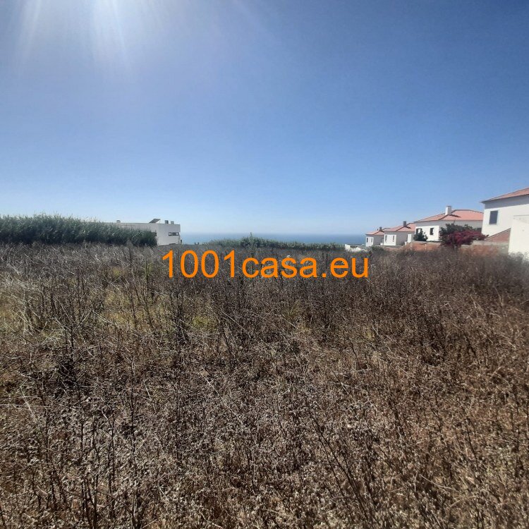 Luxus-Living pur: 4 exklusive Villen in Strandnähe