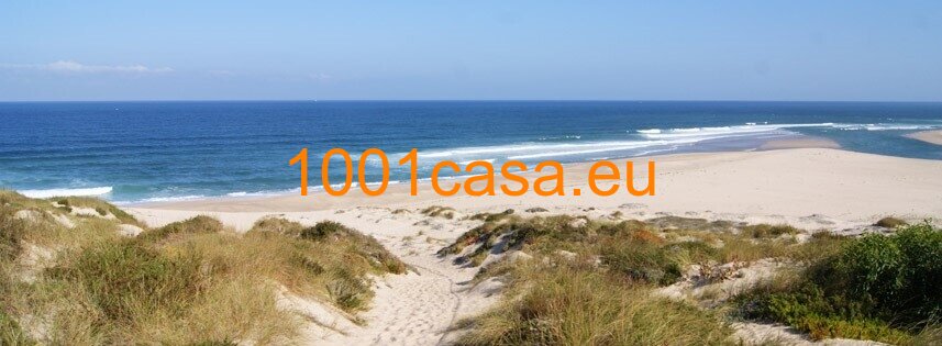 Zwischen Meer und Obidos Lagune - Top Baugrundstück Silberküste