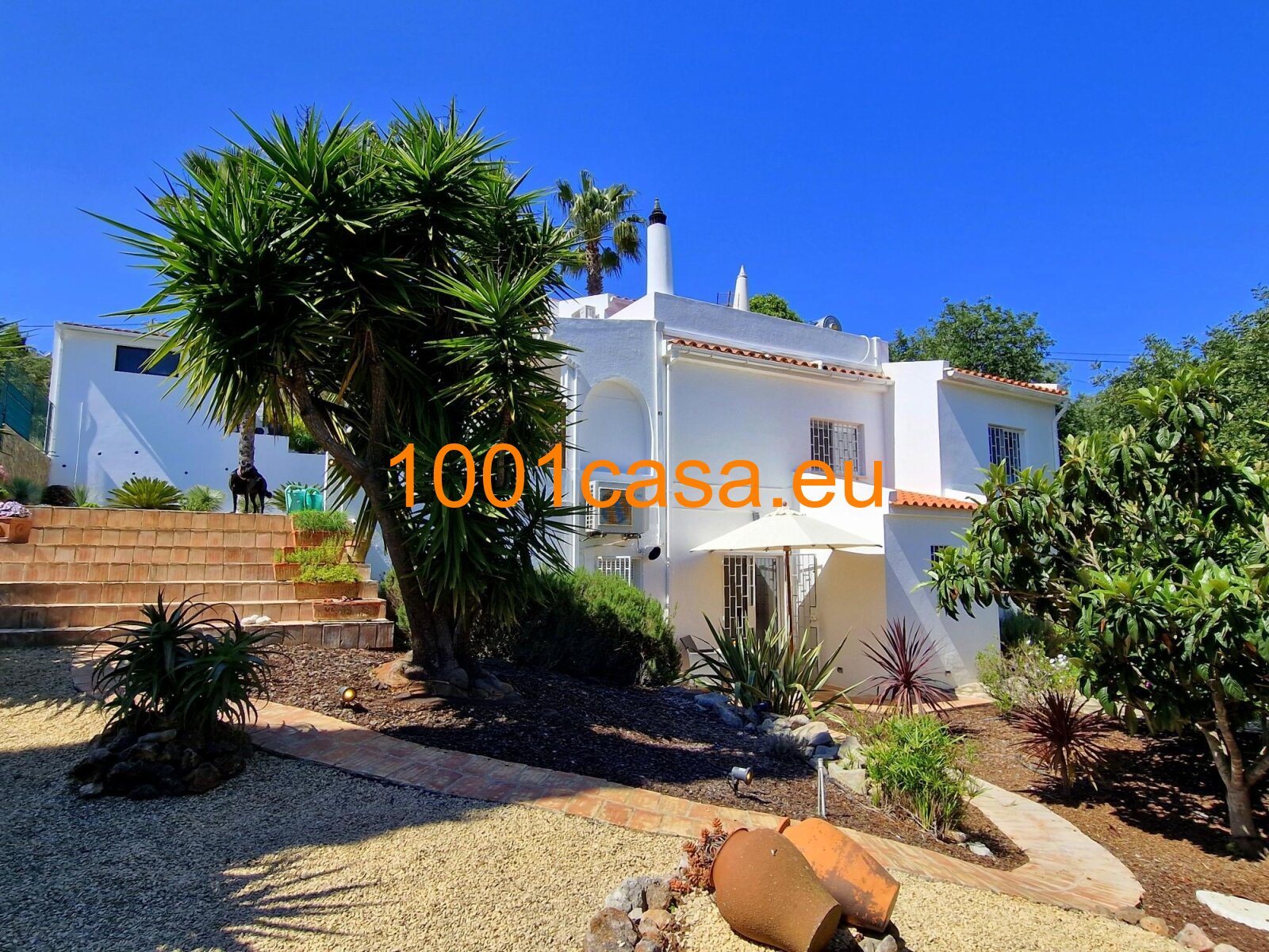 Loule: Loule: