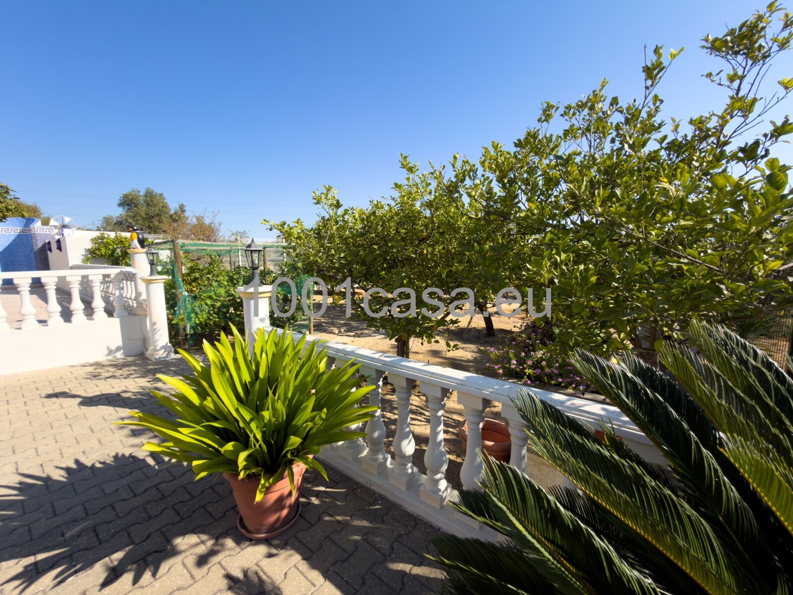 ALGARVE – TRAUMHAUS-ALARM: Meerblick & Insel-Panorama!