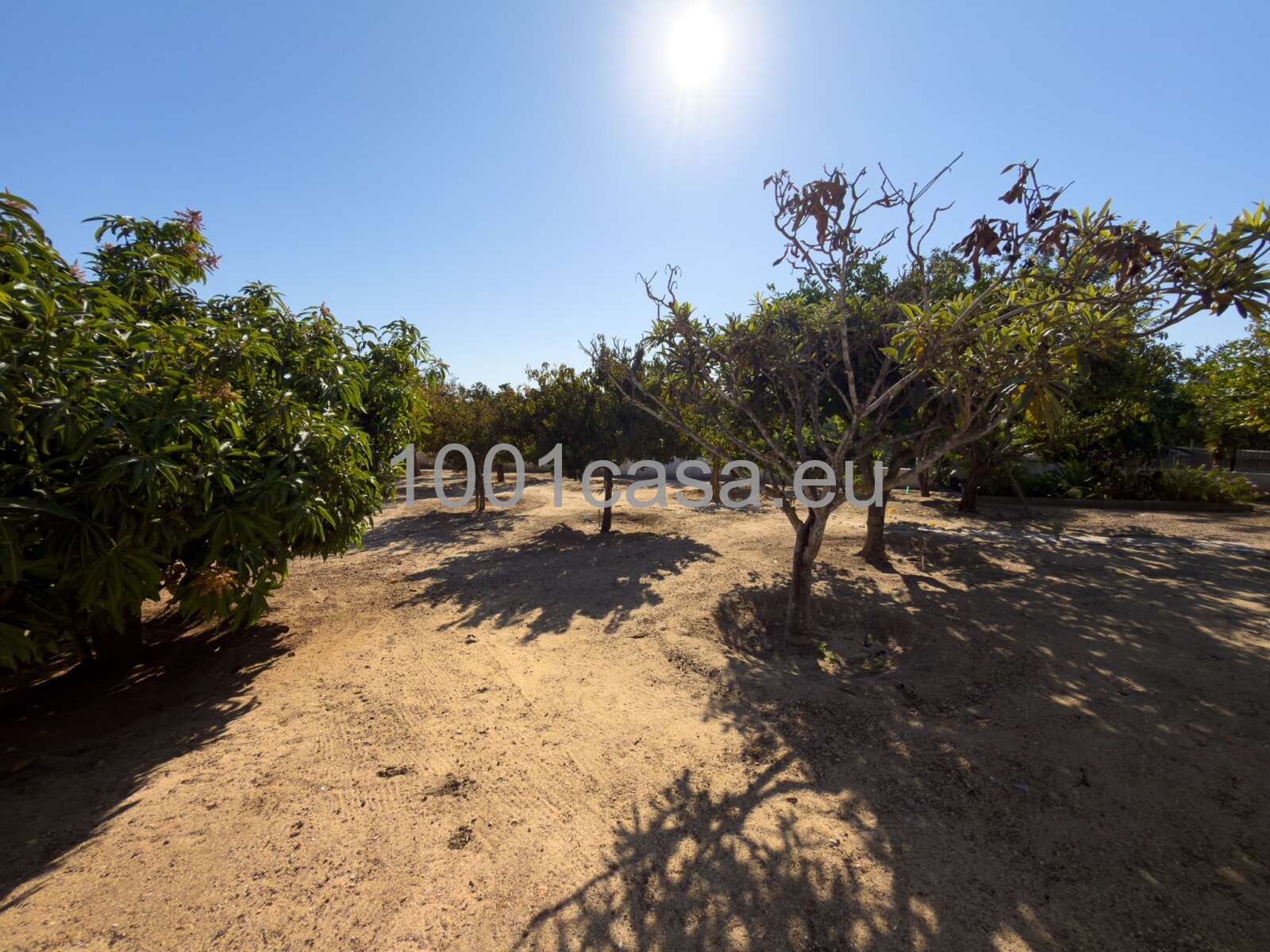 ALGARVE – TRAUMHAUS-ALARM: Meerblick & Insel-Panorama!