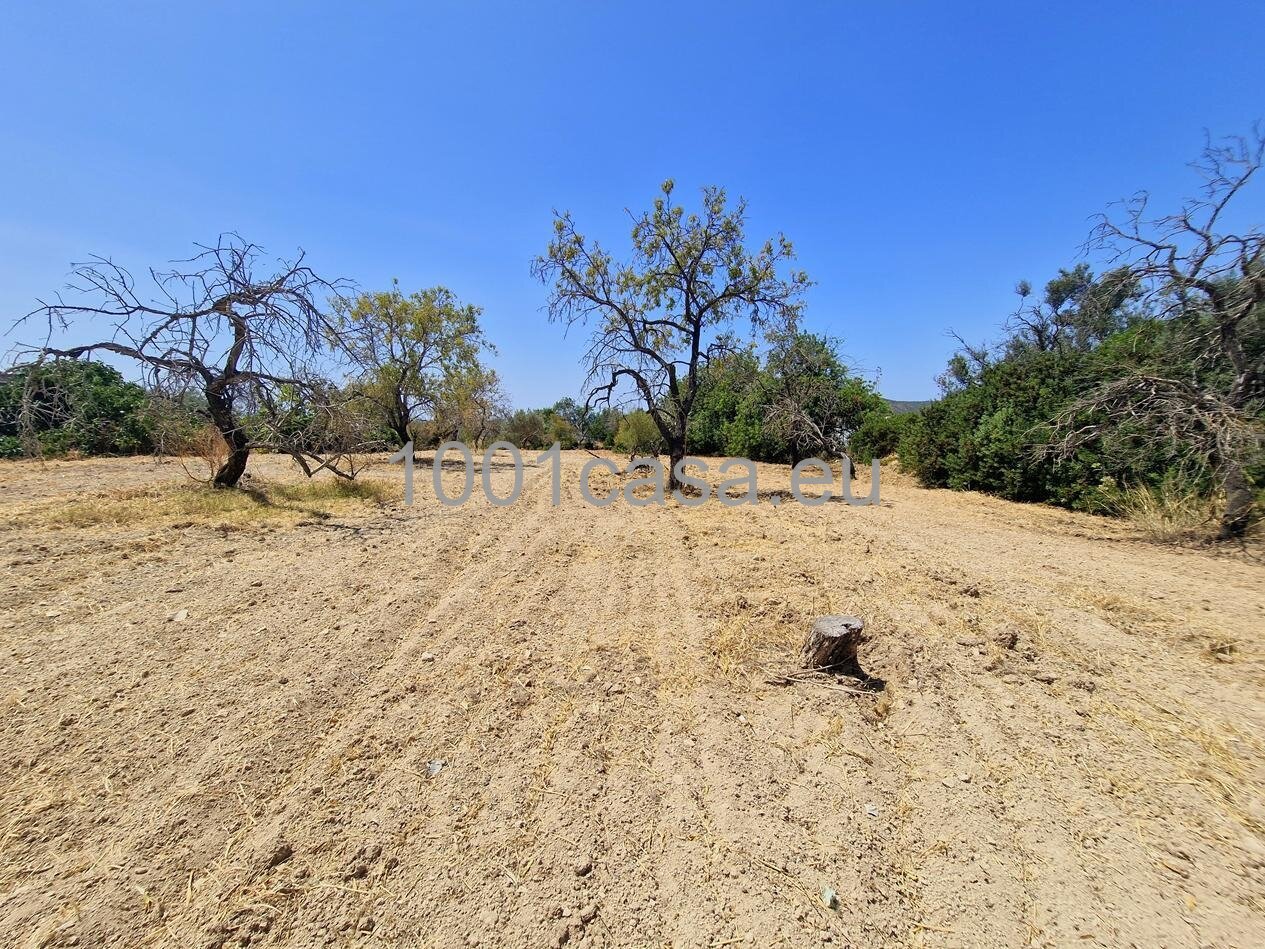 Algarve provisionsfrei grossartige alte Quinta/Finca bei Loule mit Meerblick