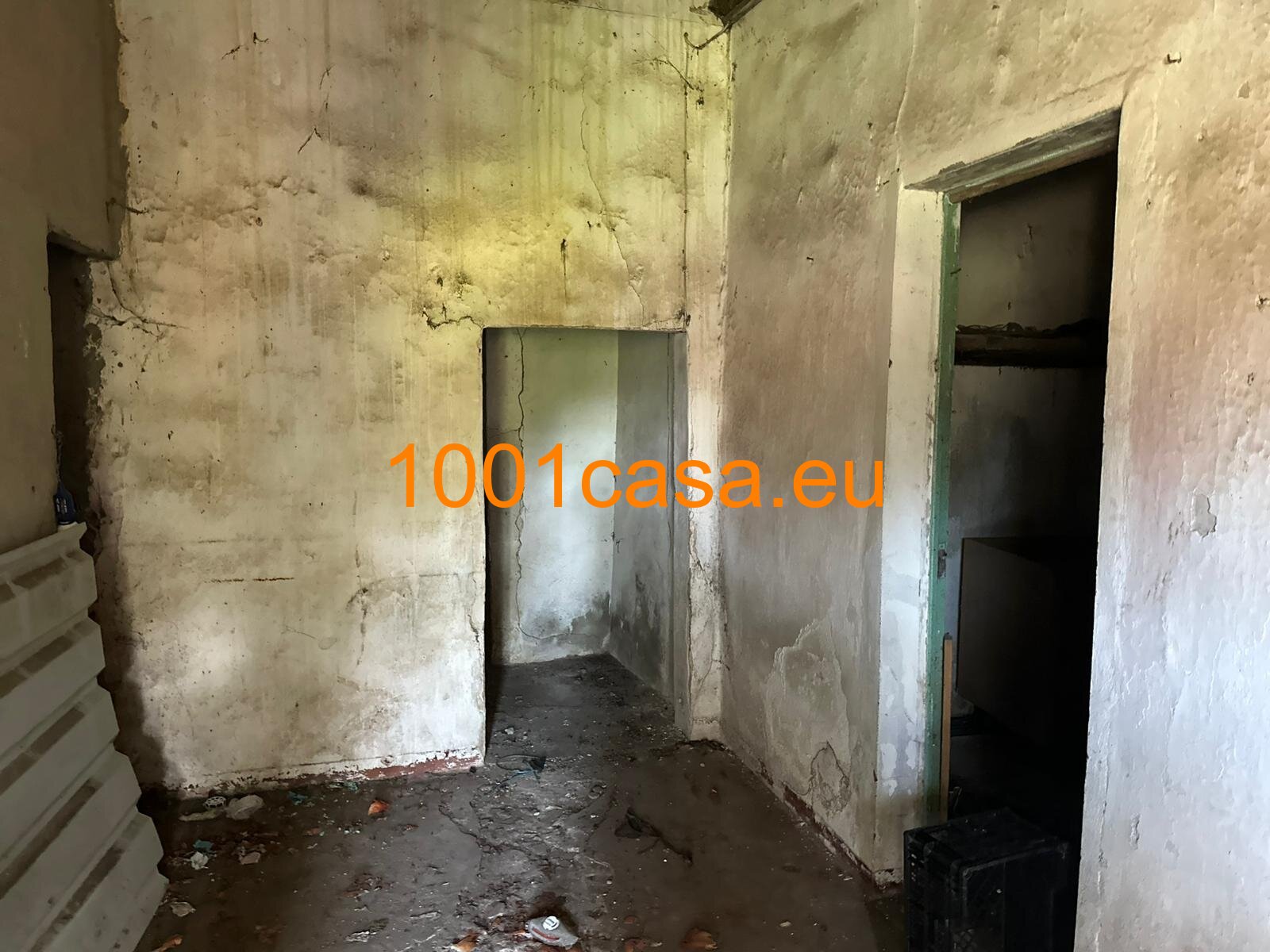 Algarve Küstentraum - Ihr Haus Projekt zwischen Zitrusbäumen und Atlantikbrise.