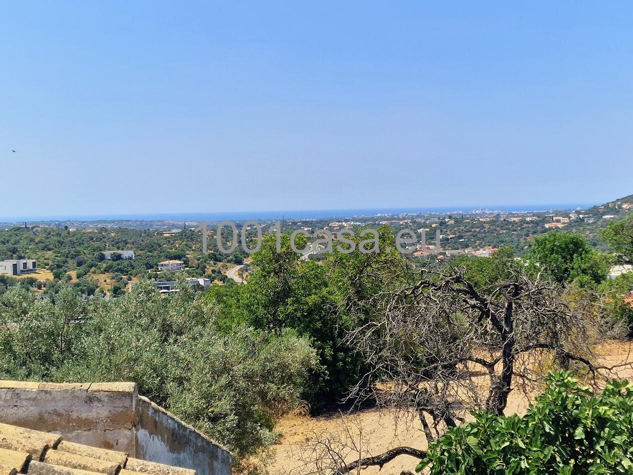 Algarve provisionsfrei grossartige alte Quinta/Finca bei Loule mit Meerblick