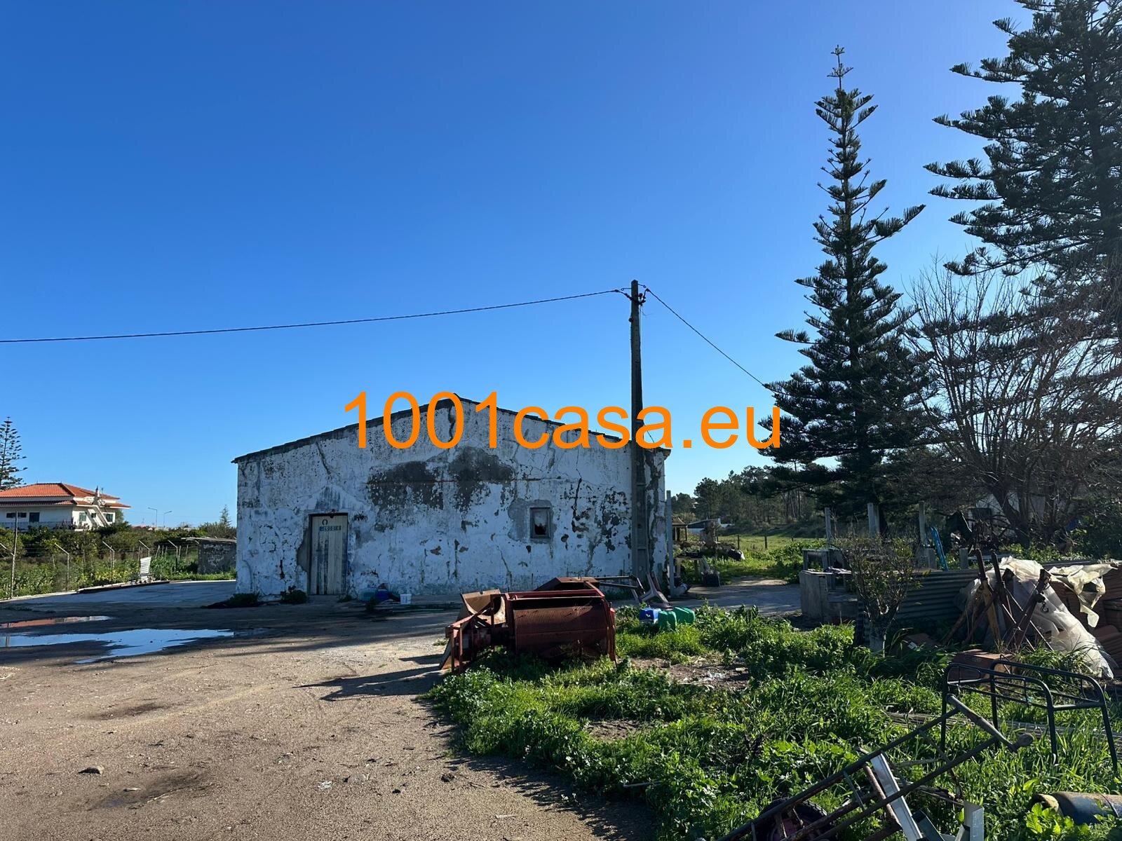 Algarve Küstentraum - Ihr Haus Projekt zwischen Zitrusbäumen und Atlantikbrise.