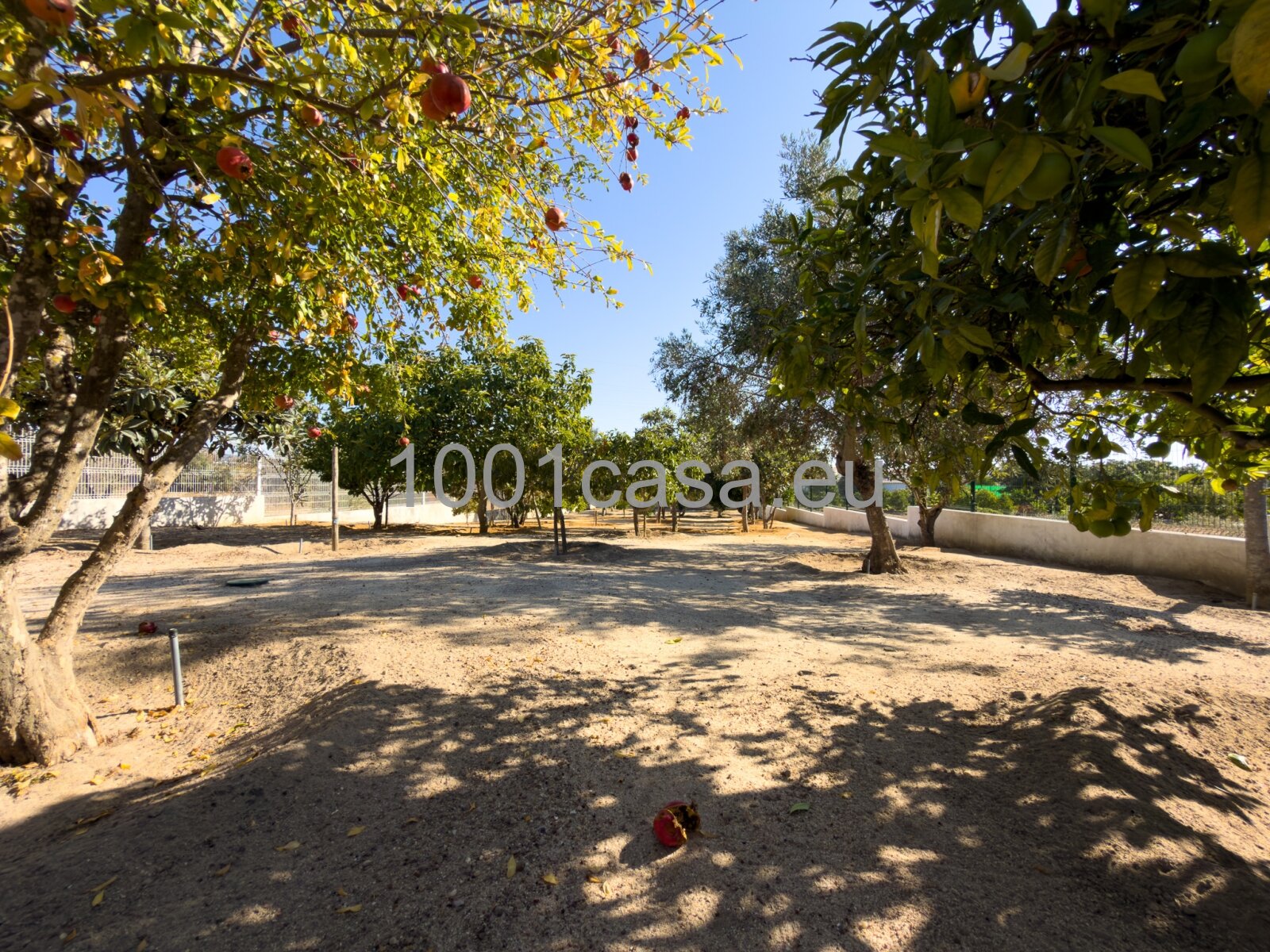 ALGARVE - Panorama-Villa bei Olhão